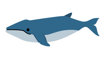 シンプルでかわいいクジラのイラスト　海の生き物のベクター素材