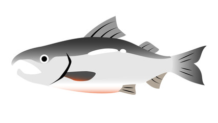 シンプルでかわいい鮭（サケ）のイラスト　食べ物・魚のベクター素材