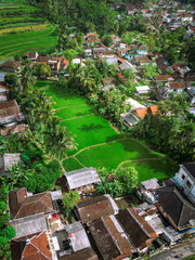 Fototapeta premium View from above of a green and beautiful settlement in a village