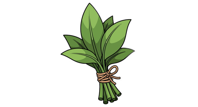 Cartoon-style bunch of green leaves tied with brown twine on white background