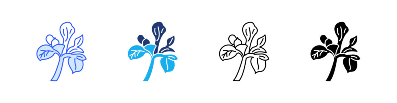 Iris Flower Multiple Style Icon Set Vector 