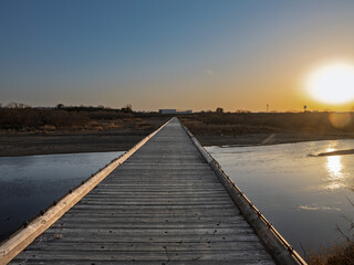夕陽に消える道。黄金に輝く木造の流れ橋