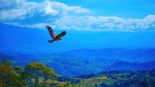 Majestic hawk soaring over a vibrant, verdant valley under a bright blue sky with fluffy clouds