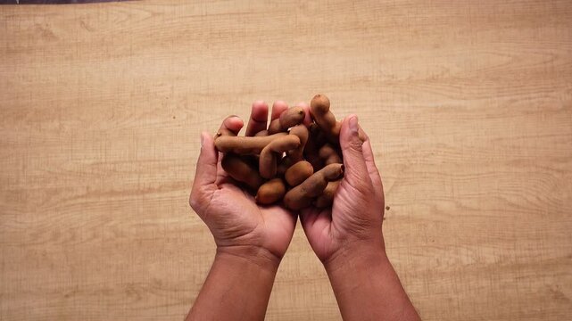 Hand holding tamarind fruit for cooking at home
