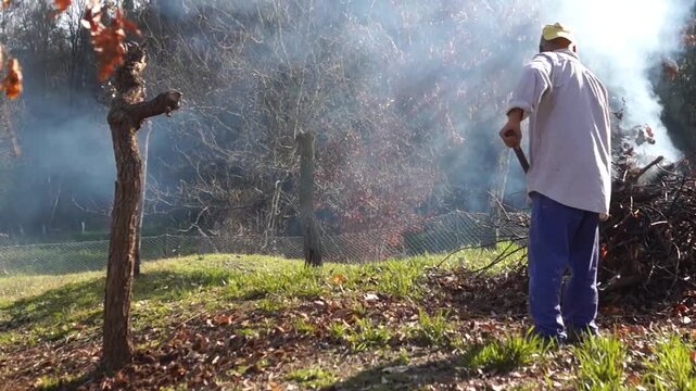 An active senior man carefully places dry branches and pruning remains into a smoking bonfire, illustrating traditional agricultural waste disposal and its environmental carbon footprint.