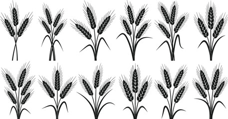 Wheat stalk silhouette illustration, grain crop artwork, agricultural plant vector, black and white design, farm harvest graphic, botanical nature image © Muntaha