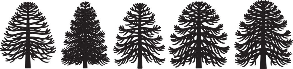 Black Solid Monkey Puzzle Tree Silhouettes Set of Six on White Background © Dreamfly