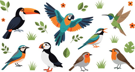 Fototapeta premium Colorful tropical and garden birds set with toucan parrot hummingbird puffin robin and small forest birds vector illustration collection