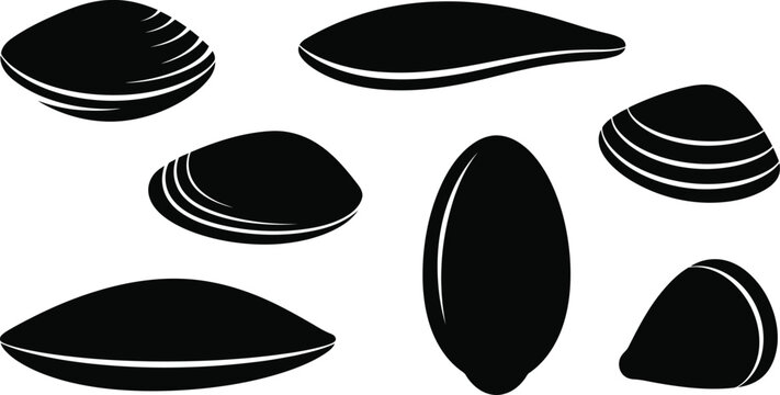 Collection of realistic black mussel shells on white background