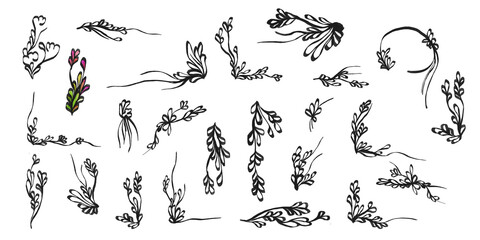 Fototapeta premium Collection of hand-drawn floral elements, leaf ornaments, and decorative borders on transparent background for PNG isolation.