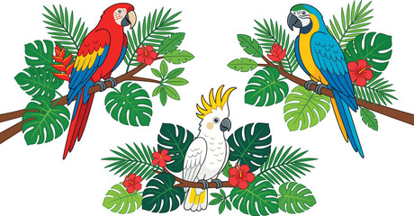 Tropical parrots and cockatoo birds sitting on branches with monstera leaves and hibiscus flowers vector illustration set © Kharshad Creative