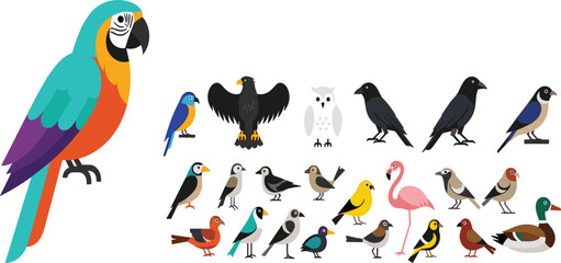 Fototapeta premium Colorful bird species collection with parrot eagle owl crow flamingo duck sparrow and many small birds isolated wildlife illustration set.
