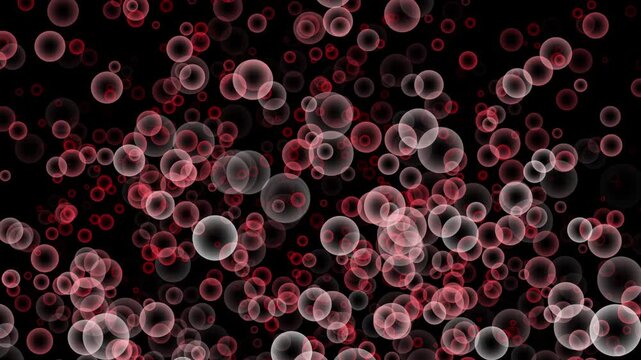 Red blood cell style circular bubble pattern illustration with pink and blue glowing cells on a dark blurred background Video