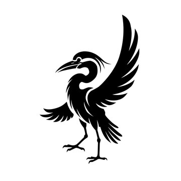 black and white bird