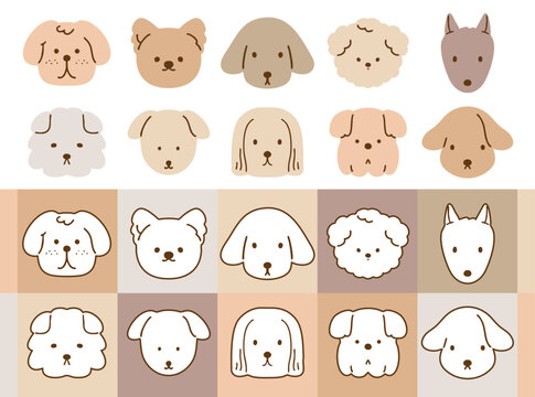 260304_bbt_dog