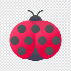 Obraz premium Ladybug Insect Beetle Nature Icon