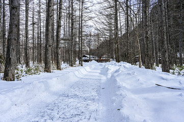 冬の日本長野県の上高地