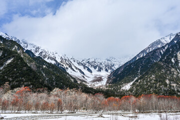 冬の日本長野県の上高地