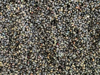 black bean texture as background