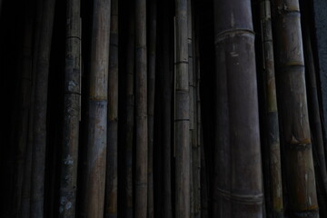 Dry Bamboo Poles Standing Neatly in a Row or Stack