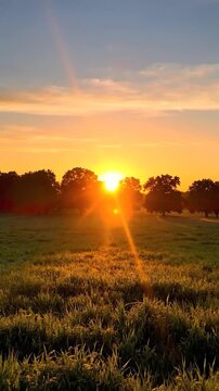 Golden sunrise illuminates a peaceful rural landscape with trees