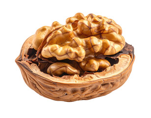 Fototapeta premium A cracked walnut shell revealing its rich, textured kernel halves