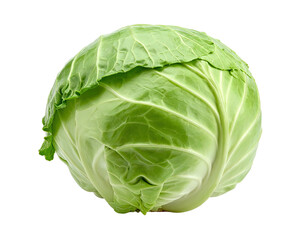 Fototapeta premium A fresh, green, round leafy vegetable isolated on a black background