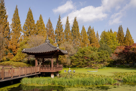 Beautiful pagoda located along a pond with scenic autumn foliage trees. Photo taken in Jinju, South Korea