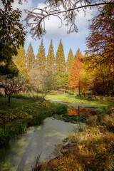 Beautiful pagoda located along a pond with scenic autumn foliage trees. Photo taken in Jinju, South Korea