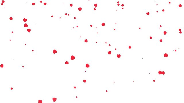 Loopable red heart particles falling down on white background. heart romantic valentine love overlay social media motion design for stock video 4k.