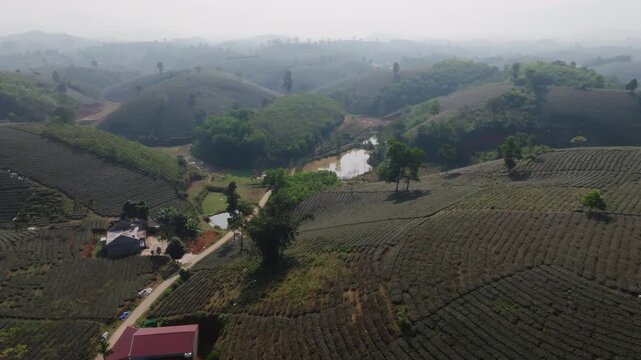 Drone aerial over tea hills with a pond, farm buildings, and valley greenery in Long Coc, Phu Tho Province, Vietnam.