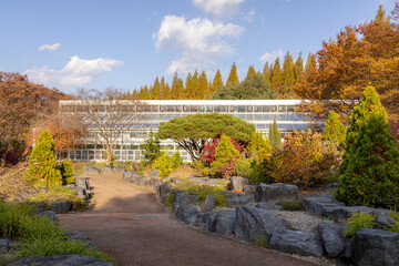 Colorful autumn trees and fall foliage located in Jinju South Korea