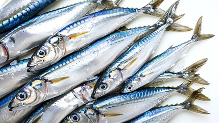 Silvery fish, possibly mackerel or sardines, arranged head-forward on ice in seafood market display.