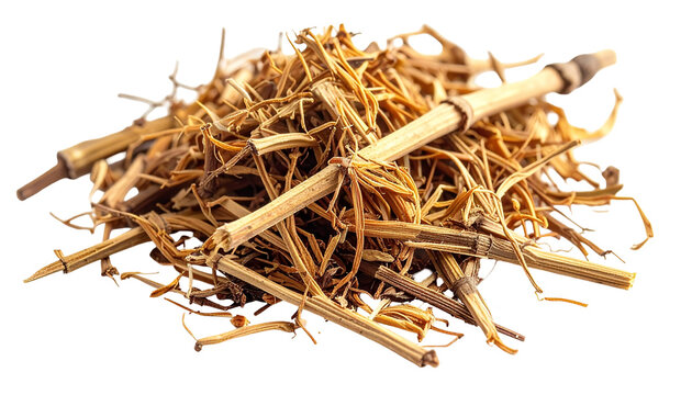 Dried Chinese herbal medicine astragalus root sticks and slices isolated traditional plant used in healthy remedies on transparent