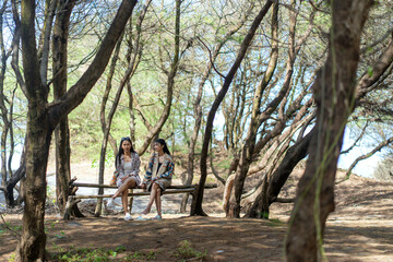 Fototapeta premium Asian Indonesian Women Friends Sitting and Talking on Wooden Bench in Forest