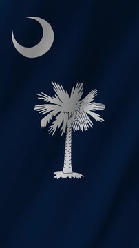 Vertical South Carolina Flag Waving, Indigo Blue 4K Motion