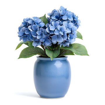Beautiful Blue Hydrangea Flowers in a Glossy Blue Vase Perfect for Home Decor Display