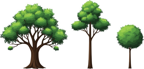 Set of Three Different Green Deciduous Tree Vector Illustrations with Lush Foliage and Realistic Branches for Nature Landscapes and Environmental Outdoor Graphic Designs © Selim Studio