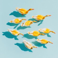 Fototapeta premium Flock of yellow swans swimming on blue water seen from a top down aerial view for environmental awareness and wildlife migration concepts with copy space