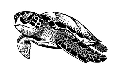 A black and white illustration of a sea turtle swimming in the ocean © MdShakib