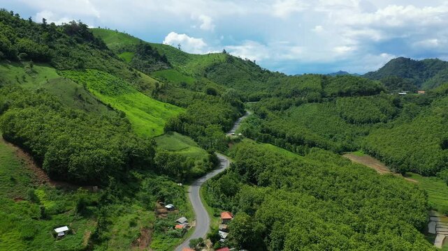 Aerial view of a winding road cutting through vibrant green hills and dense vegetation in the countryside between Luang Prabang and Nong Khiaw, Laos.
