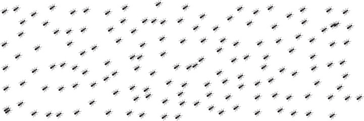 Ant Trail Vector Icon Set &ndash; Marching Colony Silhouettes, Insect Path and Dynamic Movement Illustration