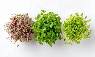 Obraz premium Top view assortment cress baby sprouts, white background 