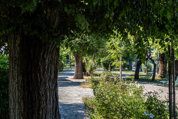 Shaded city park pathway lined with leafy trees and shrubs, a stone sidewalk, benches and lampposts. Corfu island Greece