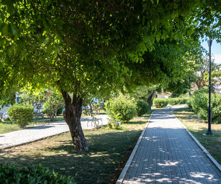 Shaded city park pathway lined with leafy trees and shrubs, a stone sidewalk, benches and lampposts. Corfu island Greece