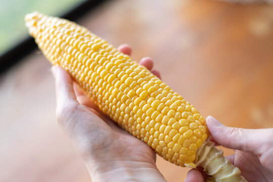美味しそうなトウモロコシを持