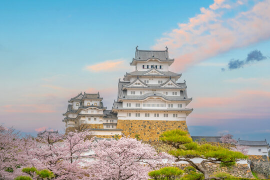 Himeji Castle Framed by Blooming Cherry Blossoms