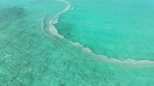 4K drone footage of a mysterious white plume of pollution or sediment flowing into the clear turquoise Maldives ocean. A stingray swims nearby, highlighting the threat to fragile marine ecosystems.

