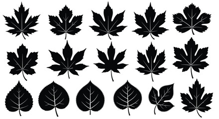Collection of various black leaf silhouettes for design and decoration purposes, Generative AI.