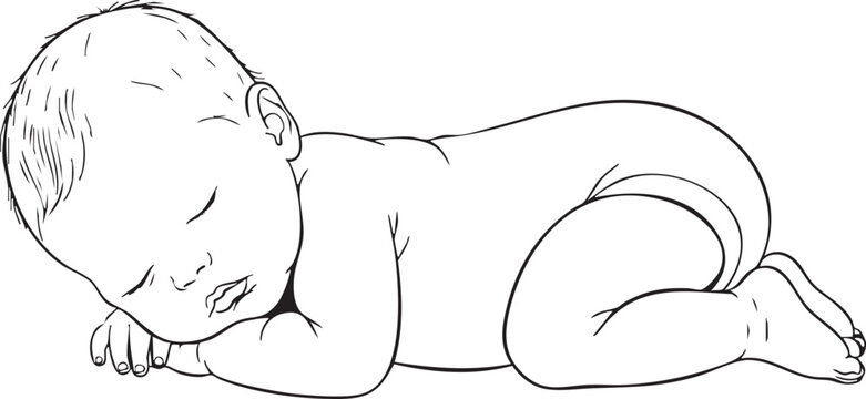 Black and white line of a sleeping newborn baby on stomach prone position line black and white